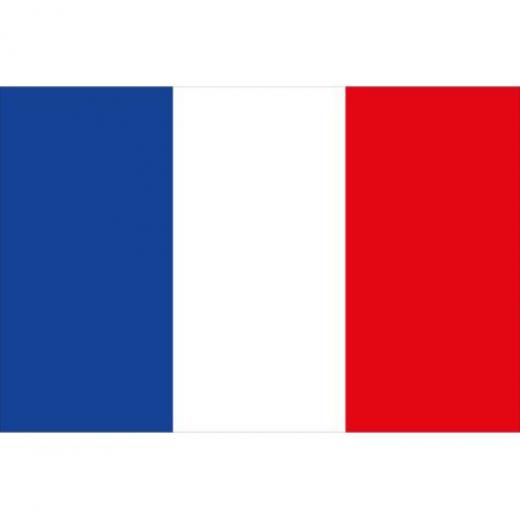 allpa Französische Flagge 20x30cm