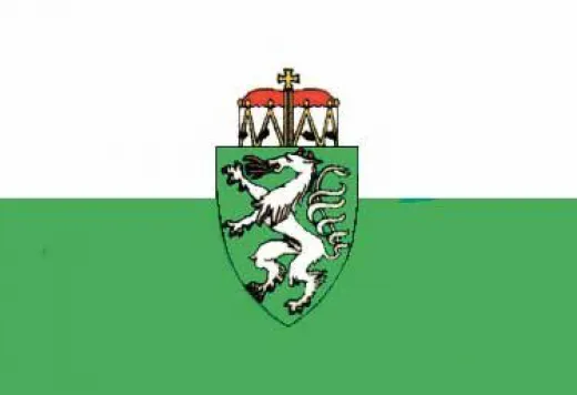 allpa Steiermark Flagge 20x30cm