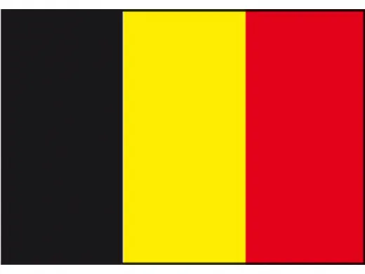 Flagge SB Belgien 1x1.5m