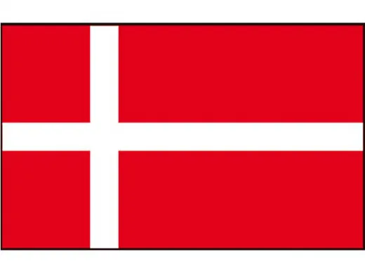 Flagge SB Dänemark 20x30cm