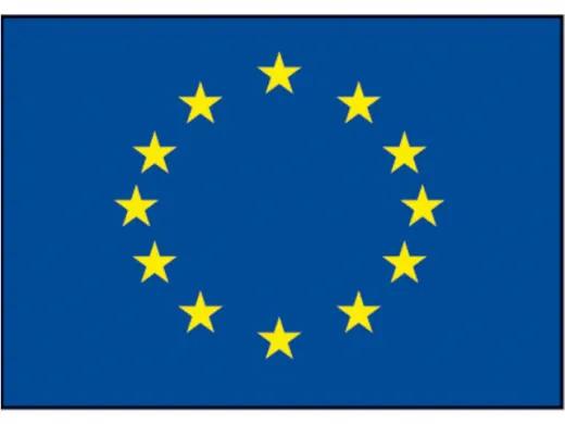 Flagge SB Europarat 20x30cm