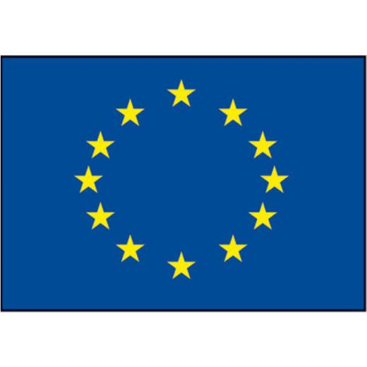 Flagge SB Europarat 40x60cm