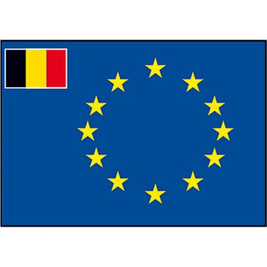 Flagge SB Europarat/B 20x30cm