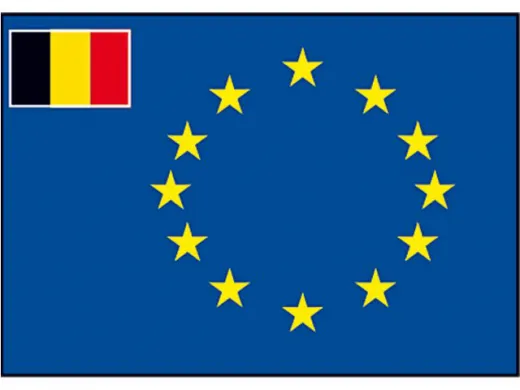 Flagge SB Europarat/B 20x30cm