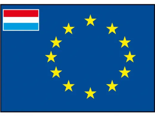 Flagge SB Europarat/NL 1x1.5m