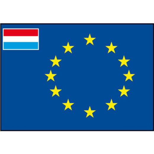 Flagge SB Europarat/NL 20x30cm