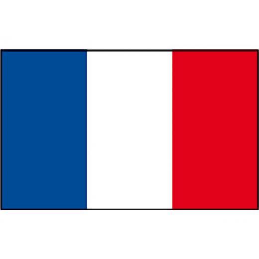 Flagge SB Frankreich 1x1.5m