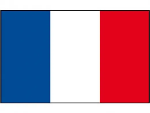 Flagge SB Frankreich 1x1.5m