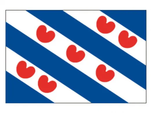 Flagge SB Friesland 1.2x1.8m