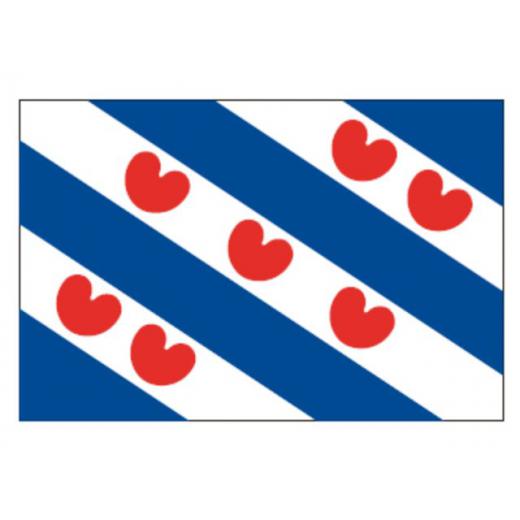 Flagge SB Friesland 2x3m