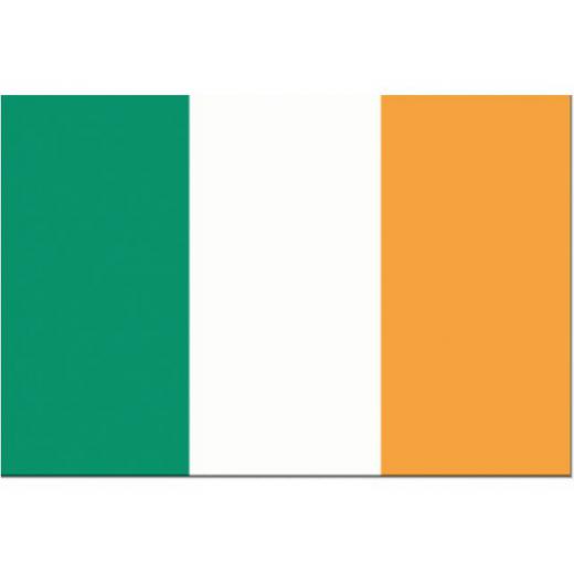 Flagge SB Irland 20x30cm