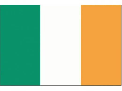 Flagge SB Irland 20x30cm