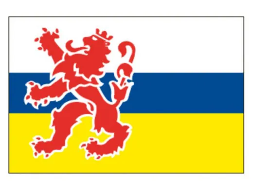 Flagge SB Limburg 20x30cm