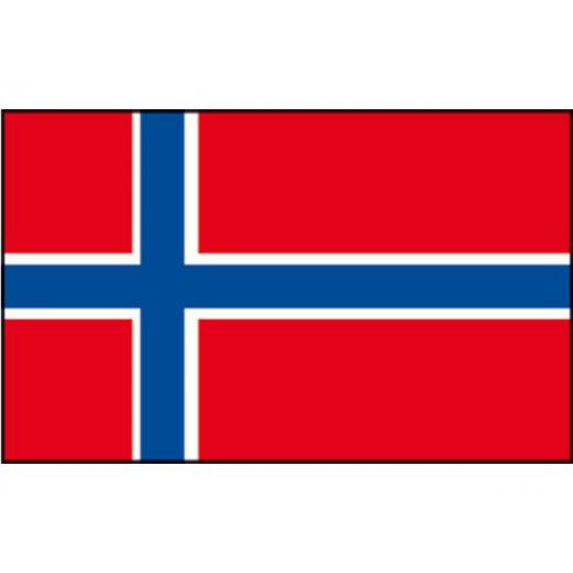 Flagge SB Norwegen 20x30cm