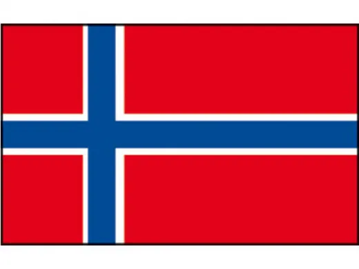 Flagge SB Norwegen 20x30cm