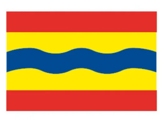 Flagge SB Overijssel 20x30cm