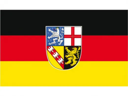 Flagge SB Saarland 20x30cm