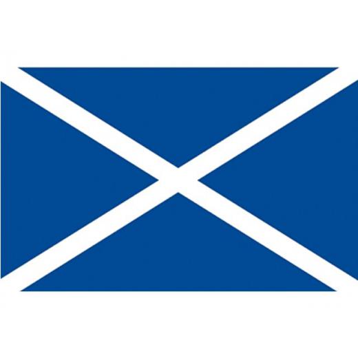 Flagge SB Schottland 20x30cm