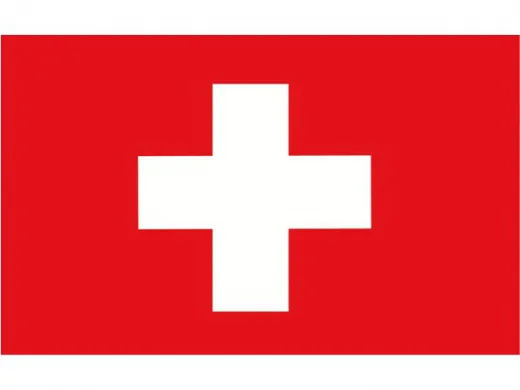 Flagge SB Schweiz 20x30cm