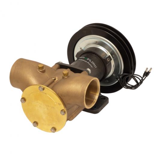 Johnson Impellerpumpe F9B5600 DWP376